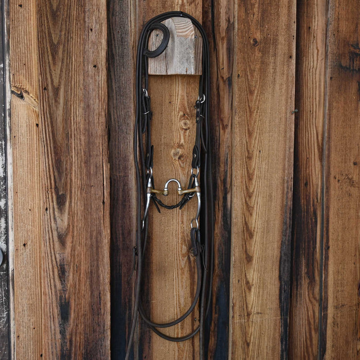 Correction Bridle Rig w/Single Ear Headstall