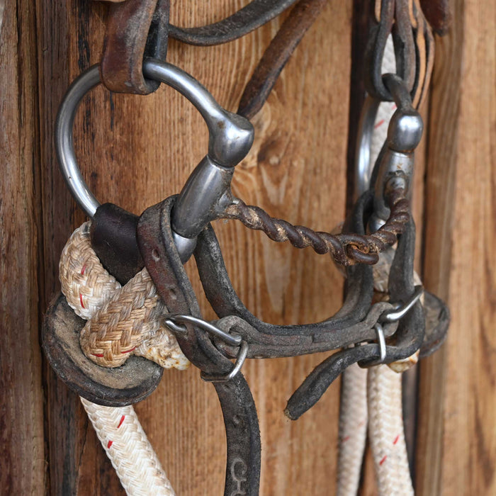 Cow Horse Supply D-Ring Twisted Snaffle Bridle Rig w/Browband Headstall