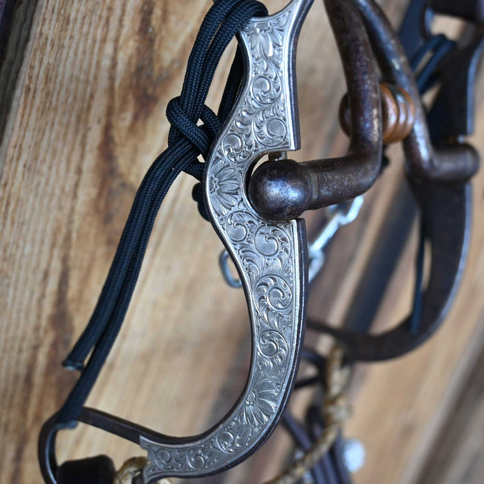 Greg Darnell Cathedral Bridle Rig w/Prickly S Leather
