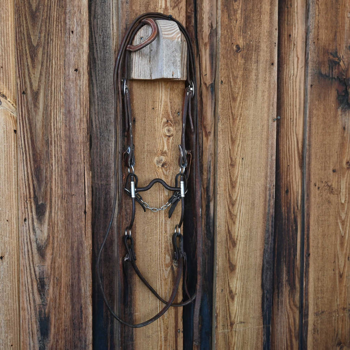 Edwards Solid Port Bridle Rig w/Single Ear Headstall