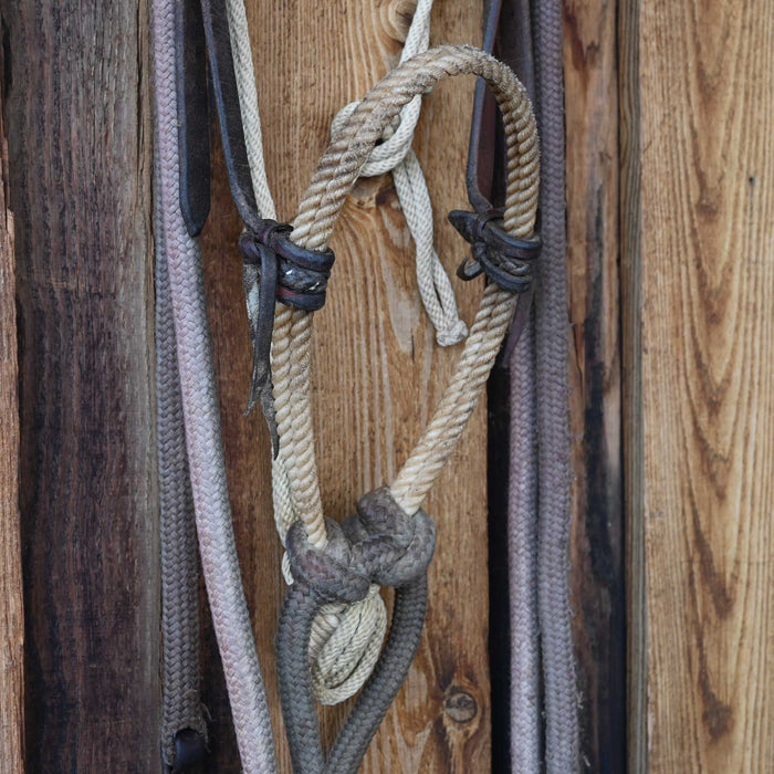 Dennis Moreland Loping Hackamore