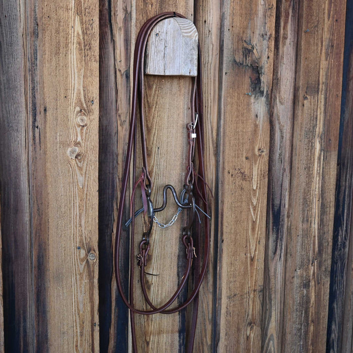 Rob Dean Tall Port Bridle Rig w/All New Leather