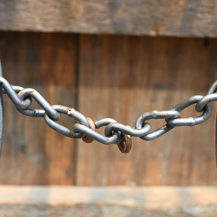 Gordy Alderson Chain Gag Bit