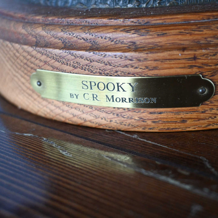 Spooky Bronze by C. R. Moorison
