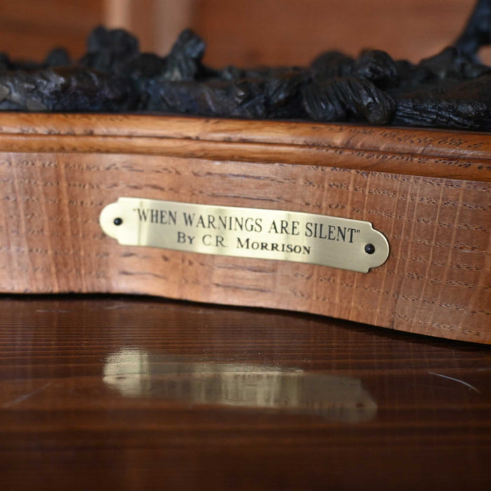 When Warnings Are Silent Bronze by C. R. Morrison