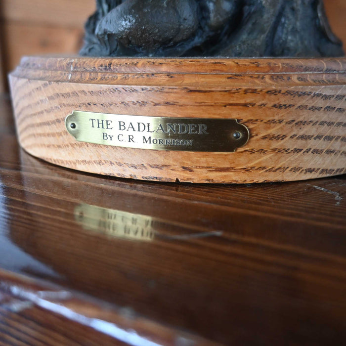 The Badlander Bronze by C. R. Moorison