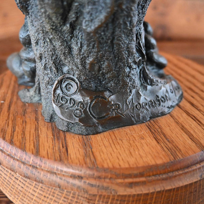 The Badlander Bronze by C. R. Moorison