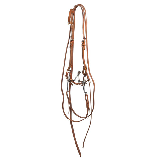 Teskey's Cathedral Correction Bridle Rig Tack - Rigs Teskey's