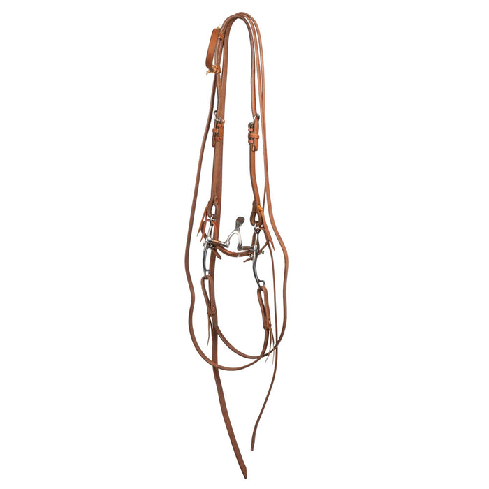 Teskey's Cathedral Correction Bridle Rig Tack - Rigs Teskey's