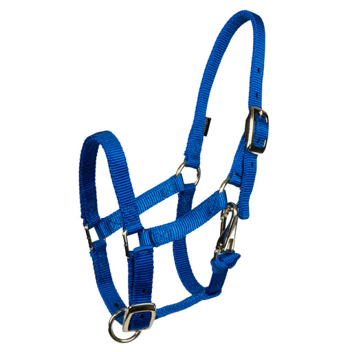 Weaver Miniature Horse Halter Tack - Halters & Leads Weaver Large Mini Blue