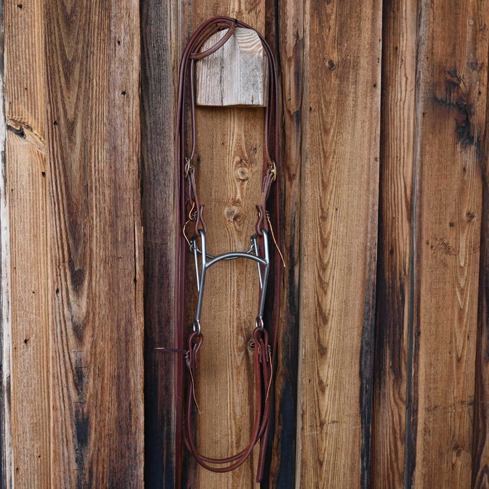 Mullen Bridle Rig w/All New Leather
