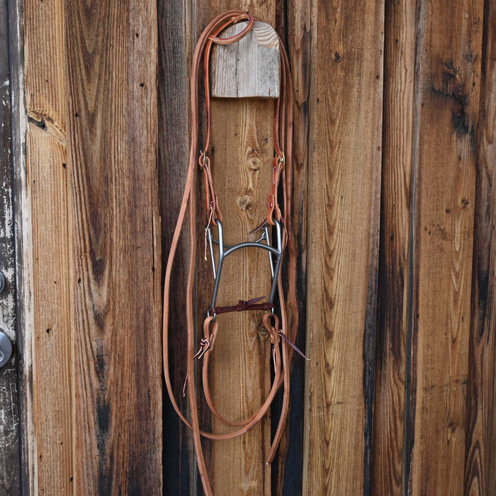 Mullen Bridle Rig w/All New Leather
