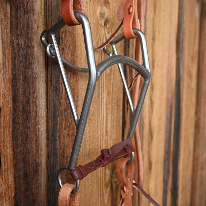 Mullen Bridle Rig w/All New Leather