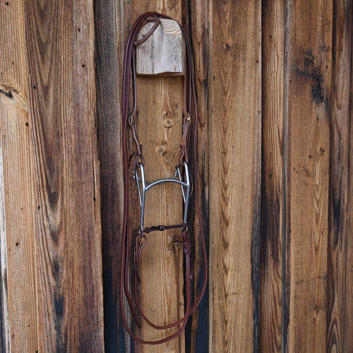 Mullen Bridle Rig w/All New Leather