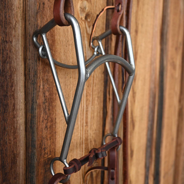 Mullen Bridle Rig w/All New Leather