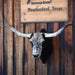 Big Mounted Longhorn Collectibles MISC