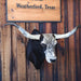Big Mounted Longhorn Collectibles MISC