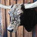Big Mounted Longhorn Collectibles MISC
