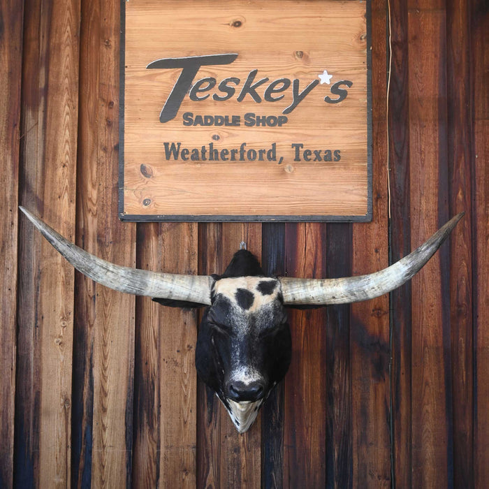 Mounted Longhorn Collectibles MISC