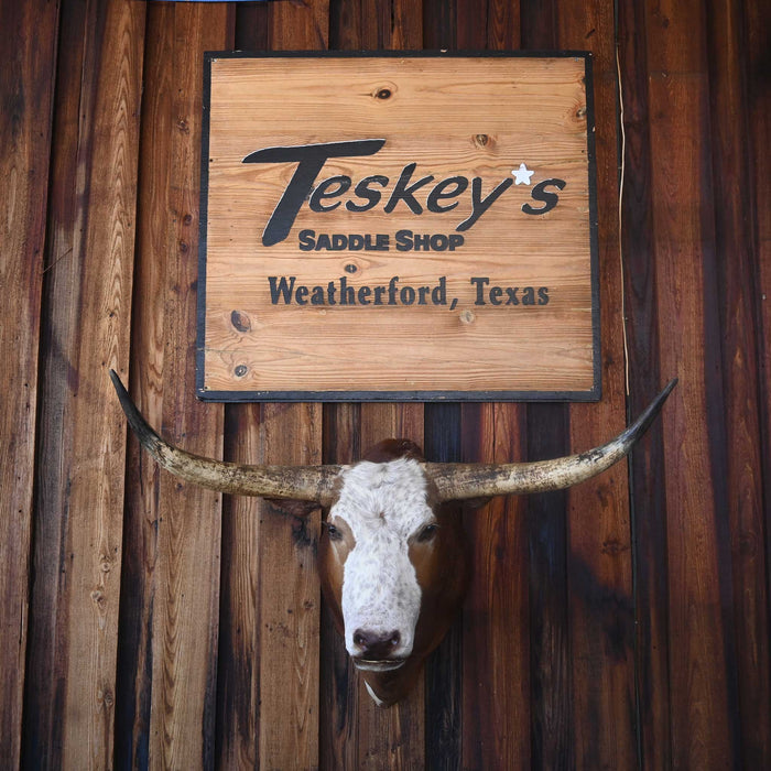 Mounted Longhorn Collectibles MISC