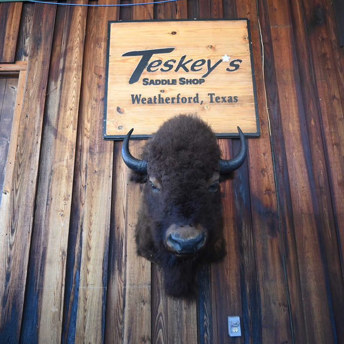 Mounted Buffalo Head - Great condition for decor of any kind!! Collectibles MISC