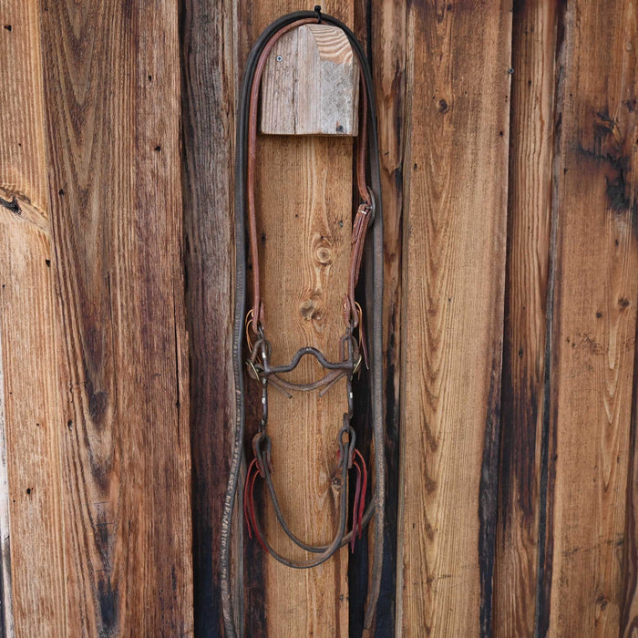 Kurtis Rudelbach Solid Port Bridle Rig w/Split Ear Headstall