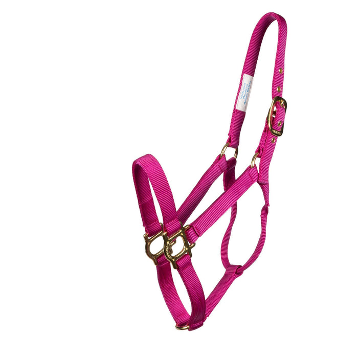 Valhoma Premium Nylon Halter - Multiple Colors Tack - Halters & Leads Valhoma Small Raspberry