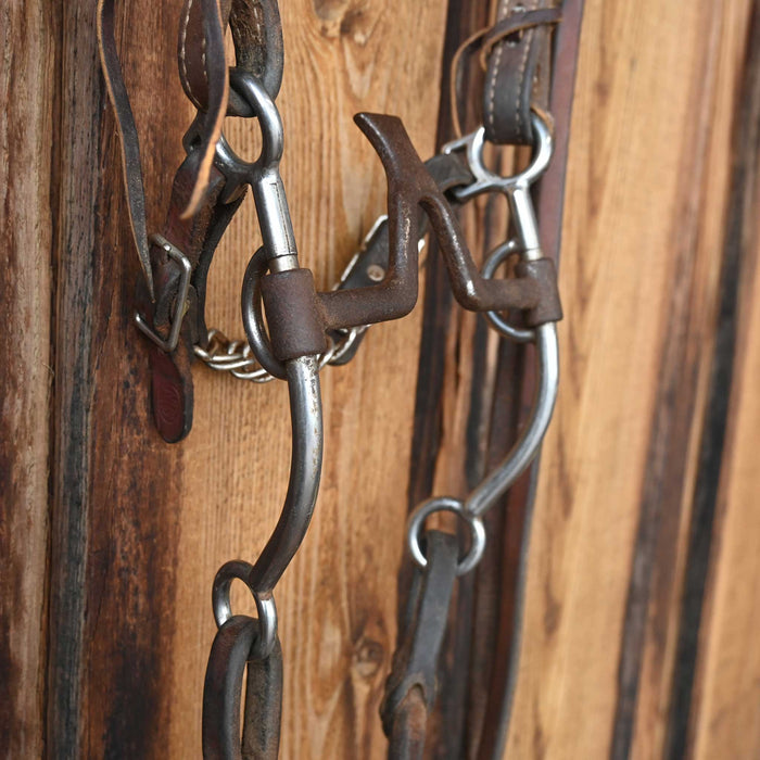 Jim Edwards Cathedral Bridle Rig w/Single Ear Headstall