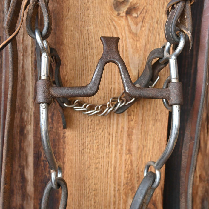 Jim Edwards Cathedral Bridle Rig w/Single Ear Headstall