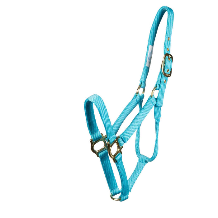 Valhoma Premium Nylon Halter - Multiple Colors Tack - Halters & Leads Valhoma Pony Turquoise