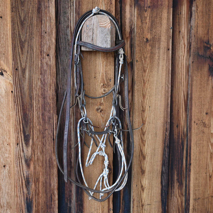 Cow Horse Supply O-Ring Twisted Wire Snaffle Bridle Rig w/String Martingale