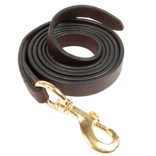 Teskey's Mahogany Lead Shank Tack - Halters & Leads Teskey's