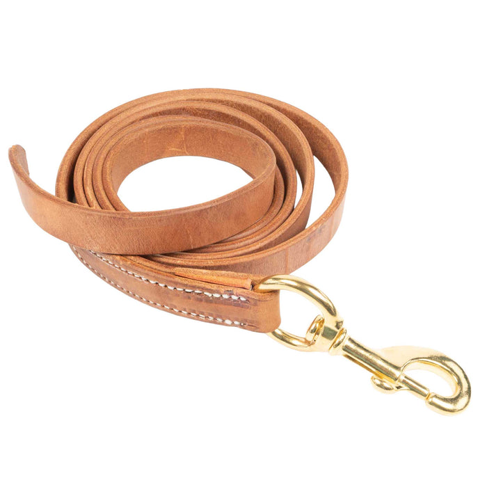 Teskey's Harness Lead Shank