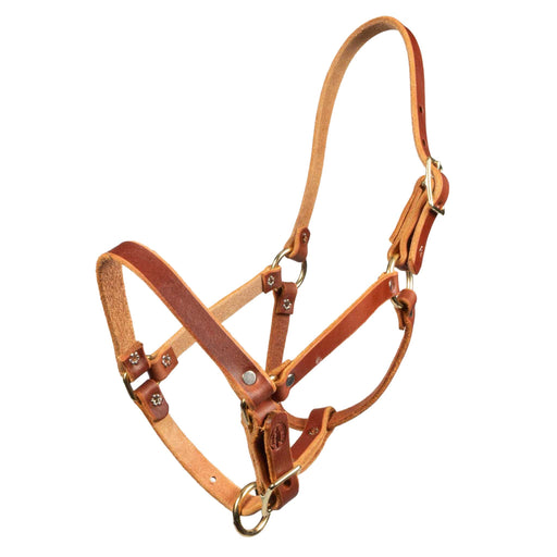 Teskey's Riveted Halter Tack - Halters & Leads Teskey's