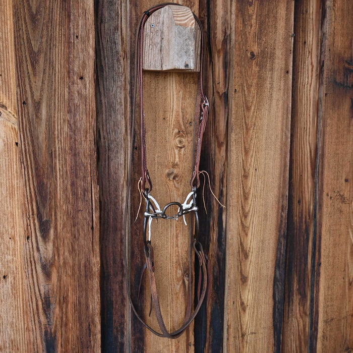 Kerry Kelley 65 Ported Chain Bridle Rig w/Split Ear Headstall