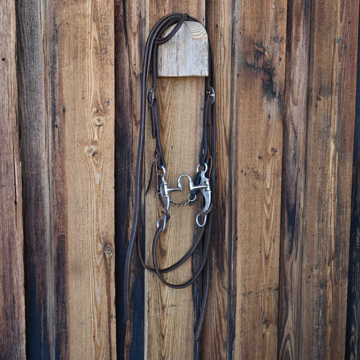 Bill Freeman Correction Bridle Rig w/Single Ear Headstall