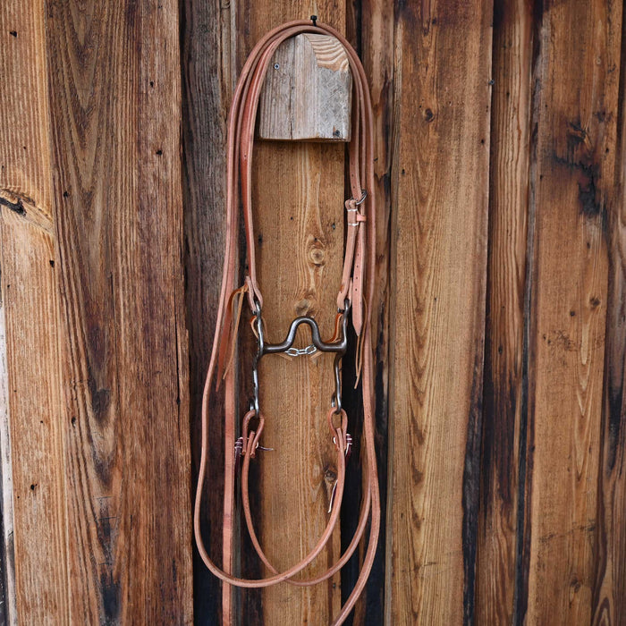 Ricky Trammell Solid Port Bridle Rig w/All New Leather