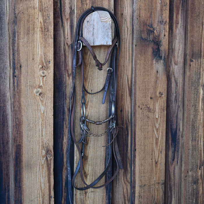 O-Ring Billy Allen Bridle Rig w/Browband Headstall Sale Barn misc