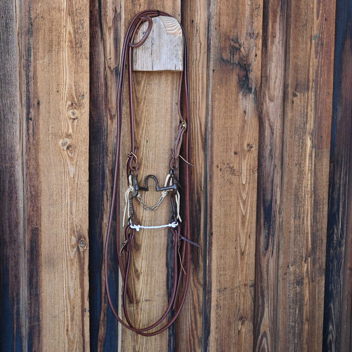 Correction Bridle Rig w/All New Leather Sale Barn misc