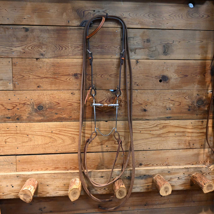 Billy Allen w/ Coper Roller Bit Bridle Rig