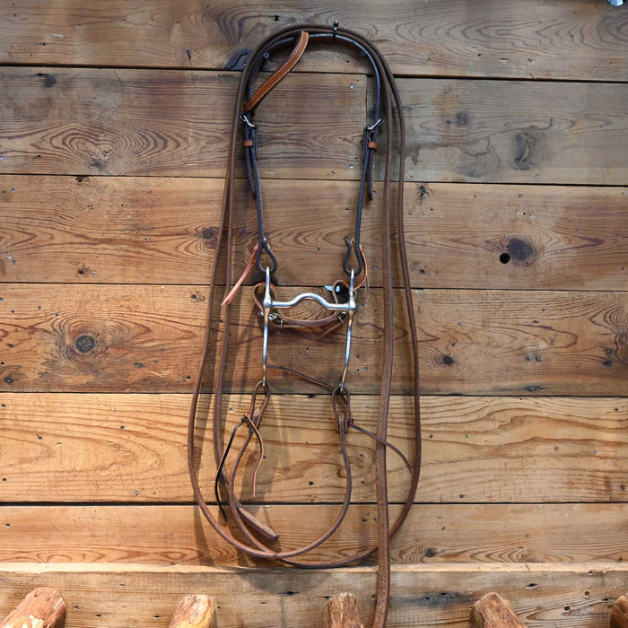 Solid Port Bit Bridle Rig