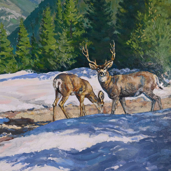 "Rocky Mountain Mule Deer" by Wayne Wolfe Collectibles Wayne Wolfe