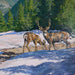 "Rocky Mountain Mule Deer" by Wayne Wolfe Collectibles Wayne Wolfe