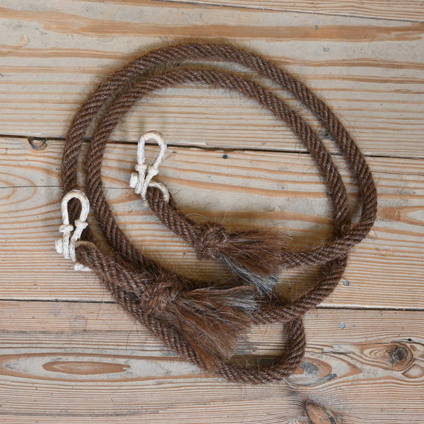 Reins