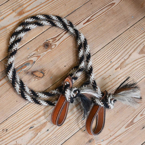 Reins