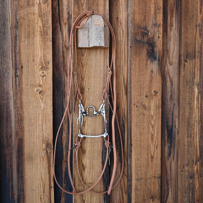 Correction Bridle Rig w/All New Leather