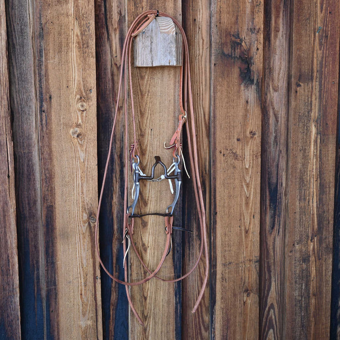 Cathedral Bridle Rig w/Single Ear Headstall