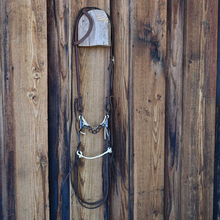 Chain Bridle Rig w/Single Ear Headstall