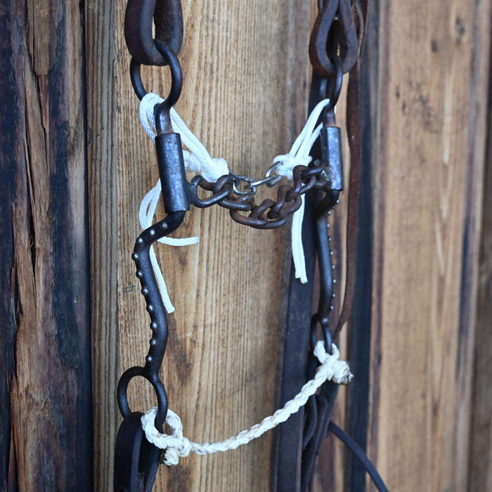 Chain Bridle Rig w/Single Ear Headstall