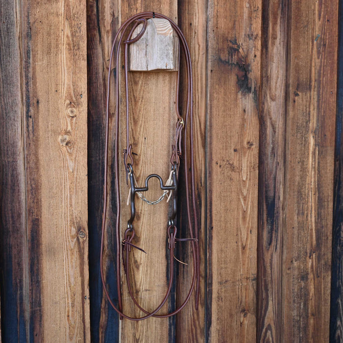 Solid Port Bridle Rig w/All New Leather